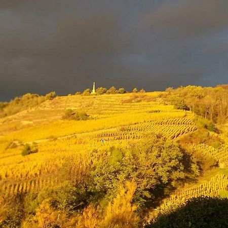 Hotel Wine Passion Panoramic Chavanay Zewnętrze zdjęcie