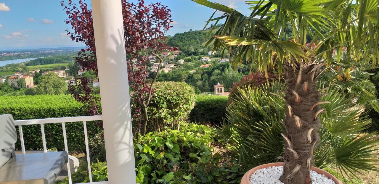 Hotel Wine Passion Panoramic Chavanay Zewnętrze zdjęcie