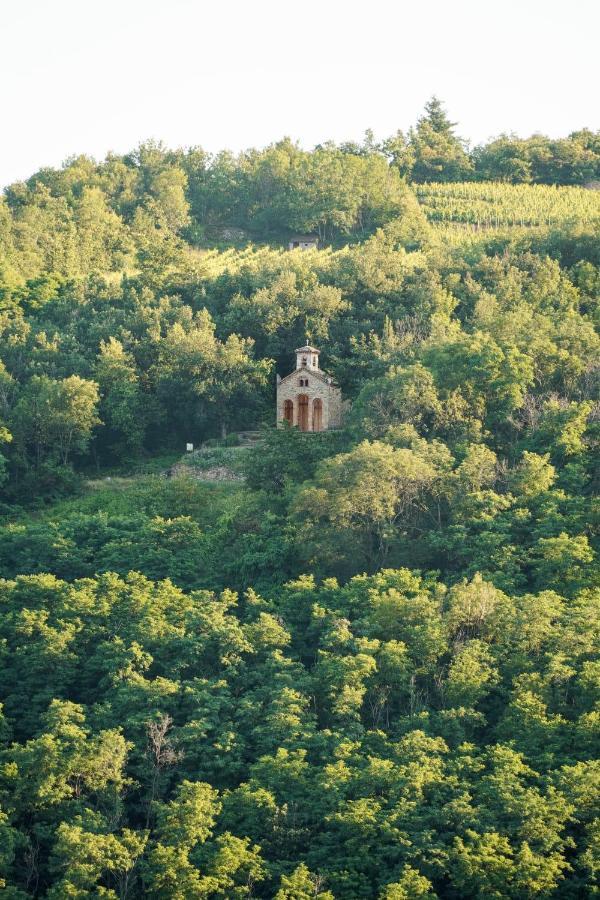 Hotel Wine Passion Panoramic Chavanay Zewnętrze zdjęcie