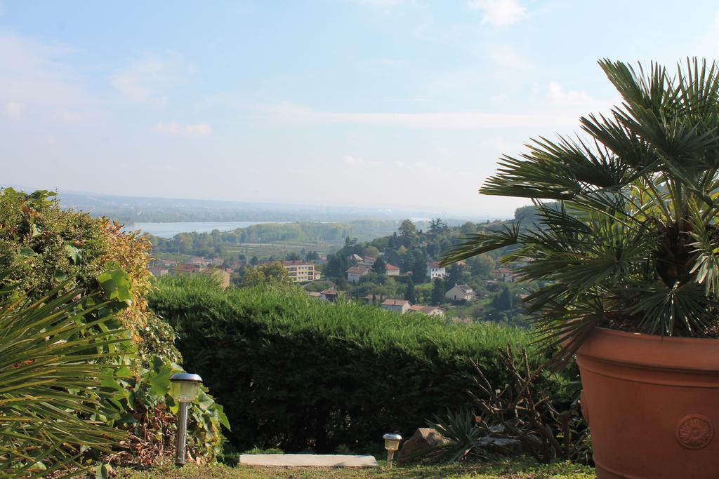 Hotel Wine Passion Panoramic Chavanay Zewnętrze zdjęcie